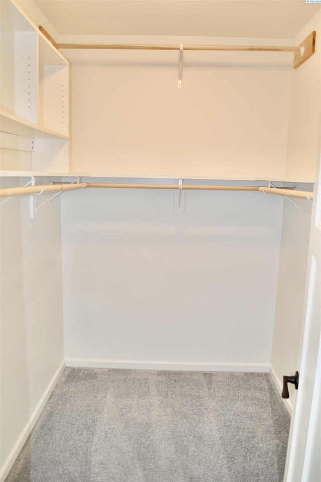 1205 SW Hannah St, Pullman, WA 99163 - spacious closet featuring carpet flooring