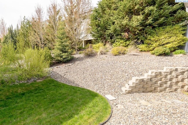 1205 SW Hannah St, Pullman, WA 99163 - view of yard