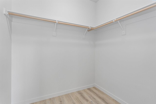 spacious closet with light wood-type flooring