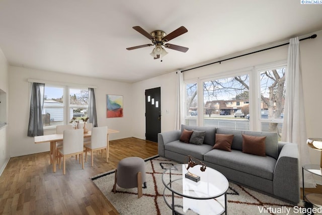 living room with plenty of natural light, hardwood / wood-style floors, and ceiling fan