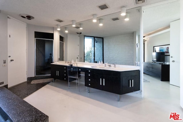 interior space featuring sink, track lighting, and a textured ceiling