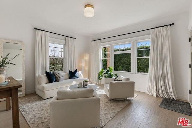 living room featuring light hardwood / wood-style floors