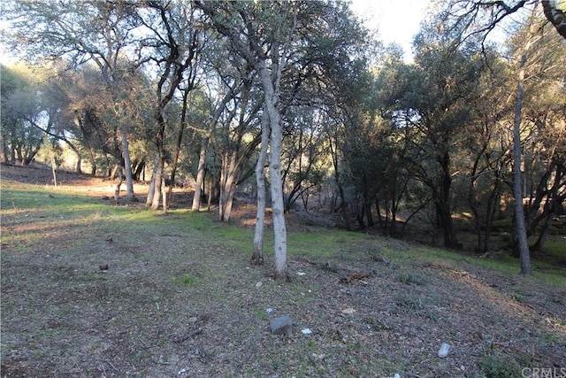 6157 Armijo Ave, Clearlake CA, 95422 land for sale