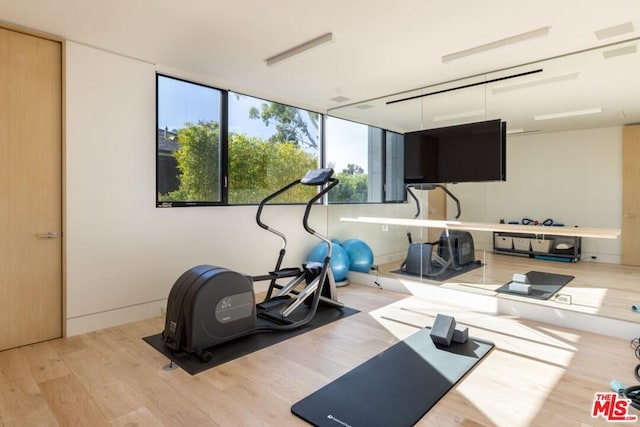 workout area featuring light wood-type flooring