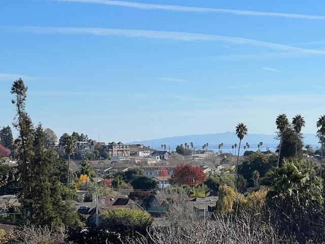 view of local wilderness