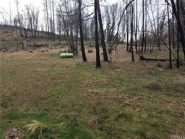 7 Huffright Ln, Berry Creek, CA 95916 - photo 20