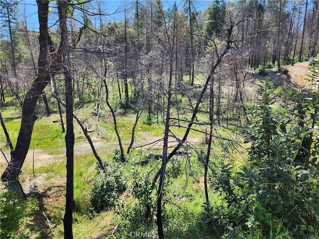 7 Huffright Ln, Berry Creek, CA 95916 - photo 8