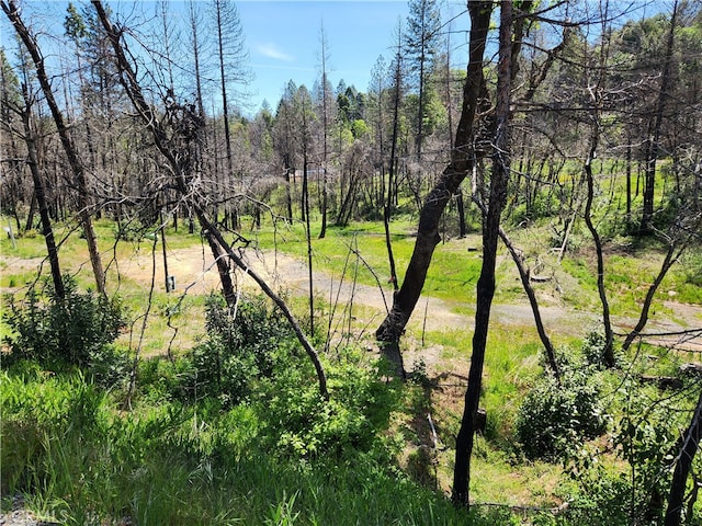 7 Huffright Ln, Berry Creek, CA 95916 - photo 6