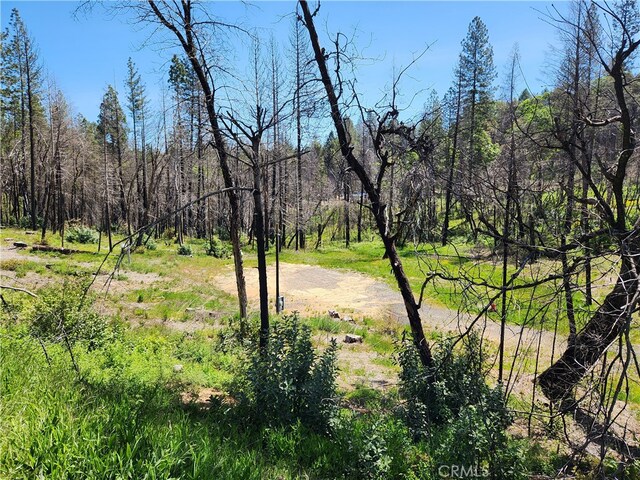 7 Huffright Ln, Berry Creek, CA 95916 - photo 10