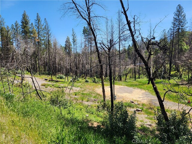 7 Huffright Ln, Berry Creek, CA 95916 - photo 11