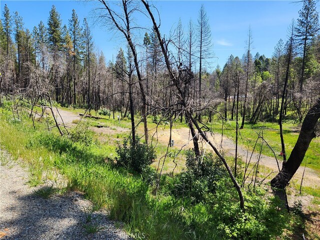 7 Huffright Ln, Berry Creek, CA 95916 - photo 7