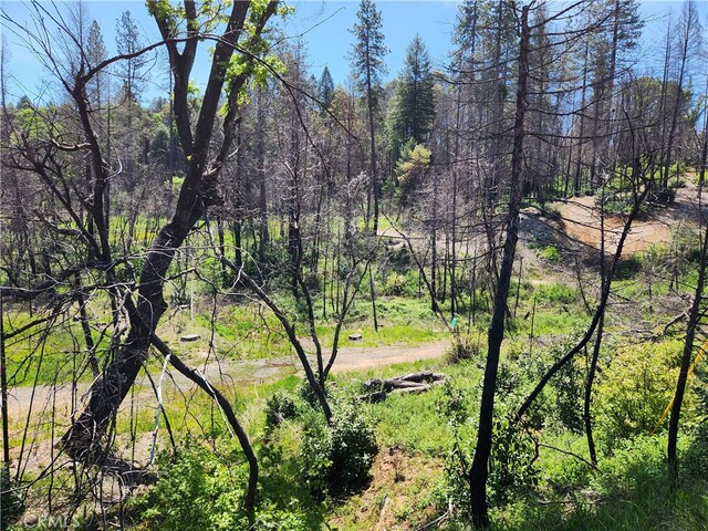7 Huffright Ln, Berry Creek, CA 95916 - photo 12