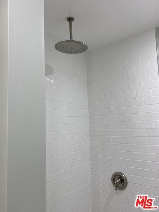 interior details featuring walk in shower