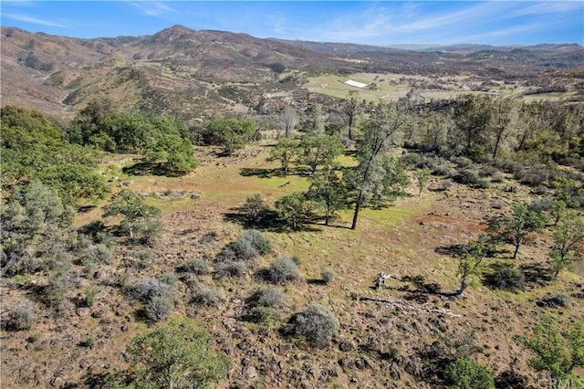 21972 Palmer Rd, Middletown CA, 95461 land for sale