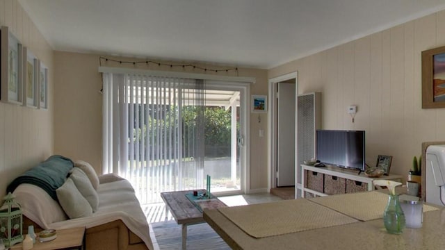 living room featuring light wood-type flooring