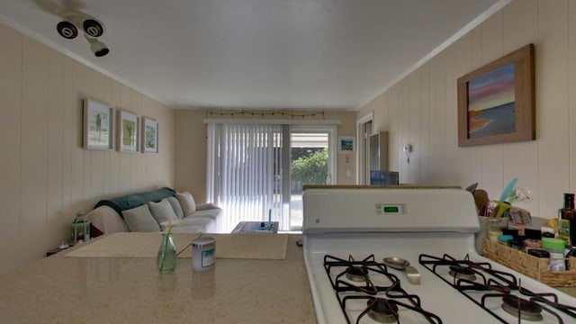 living room with crown molding