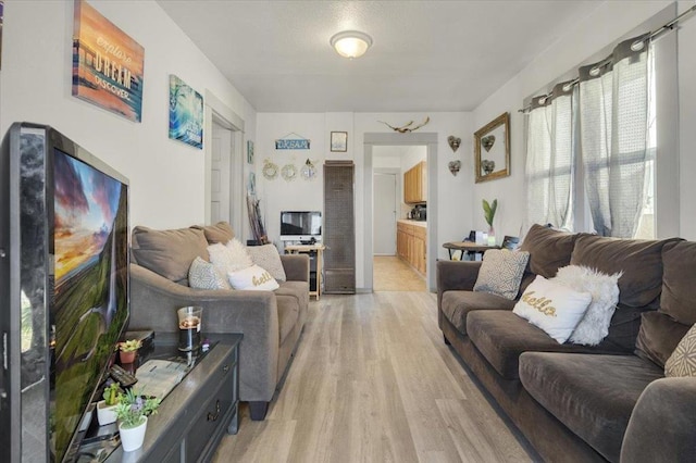 living room featuring light wood-type flooring