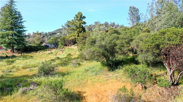 Listing photo 3 for 16506 Crescent Ct, Hidden Valley Lake CA 95467