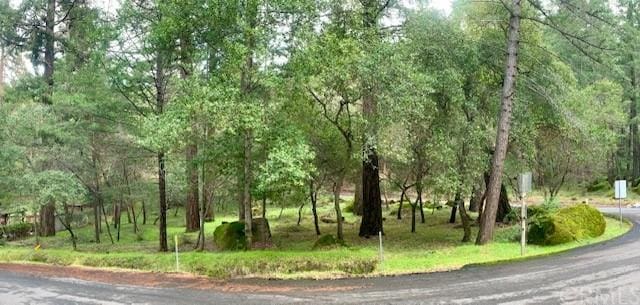 3030 Madrone Dr, Kelseyville CA, 95451 land for sale