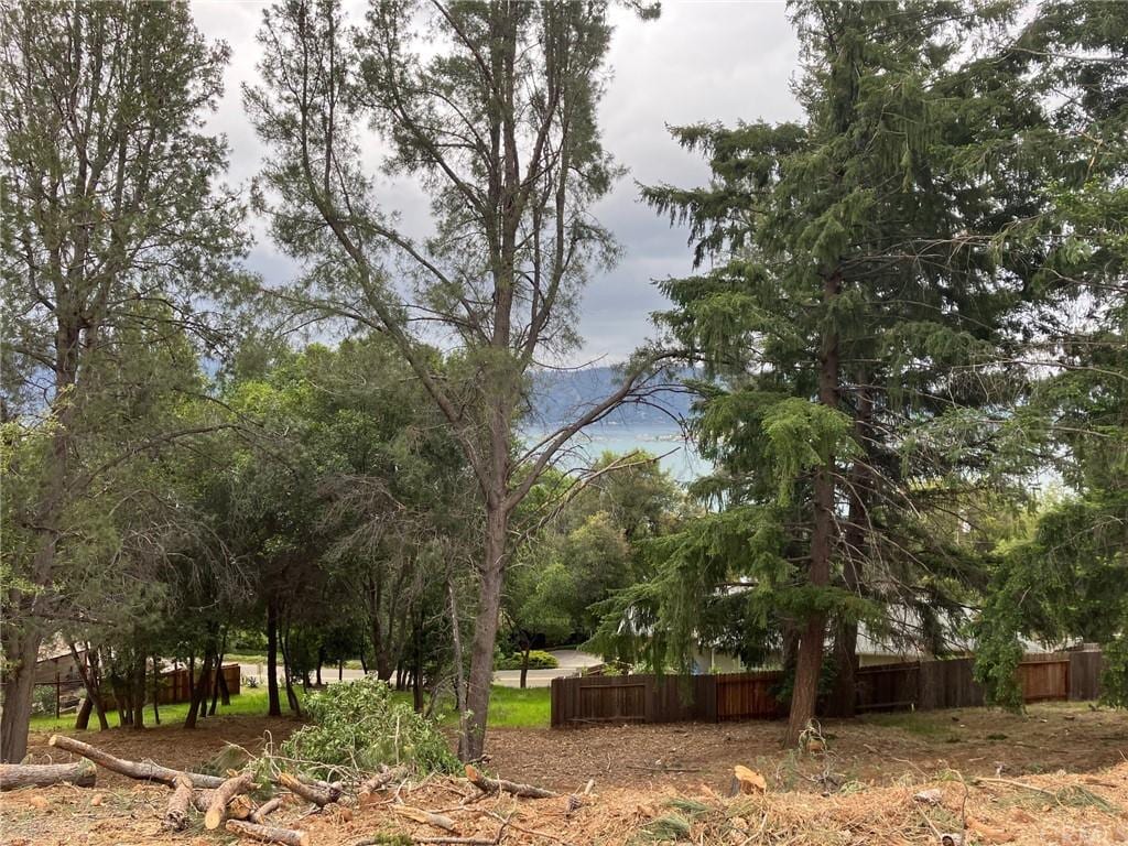 3528 Fircrest Ct, Kelseyville, CA 95451 - photo 2