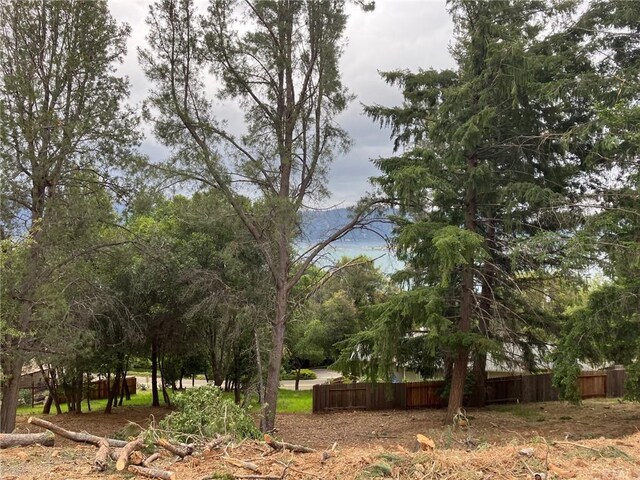 3528 Fircrest Ct, Kelseyville, CA 95451 - photo 2