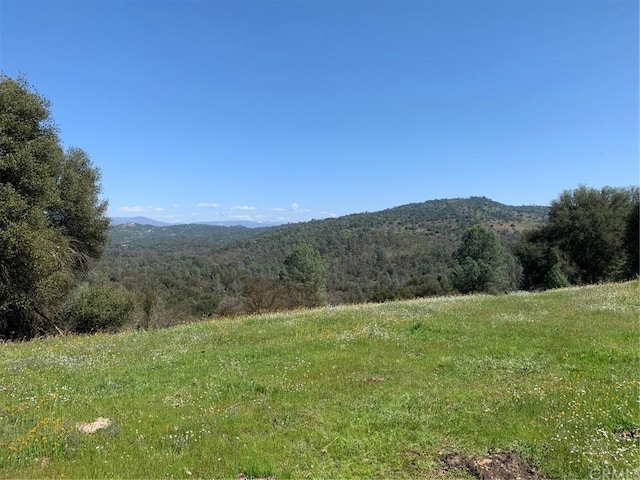 Listing photo 2 for 160ACRES Digger Pine Dr, Mariposa CA 95338