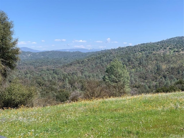 Listing photo 3 for 160ACRES Digger Pine Dr, Mariposa CA 95338