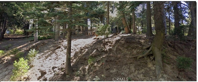 0 Burnt Mill Rd, Crest Park CA, 92352 land for sale