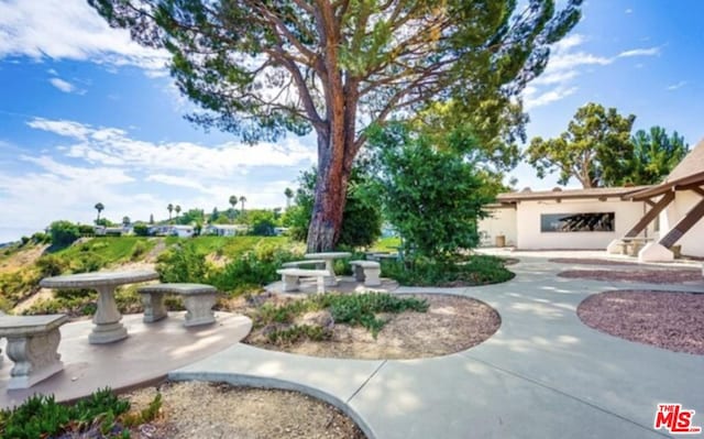 view of yard featuring a patio