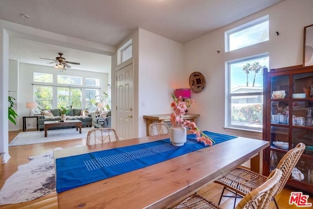 dining area featuring light hardwood / wood-style floors, ceiling fan, and a wealth of natural light