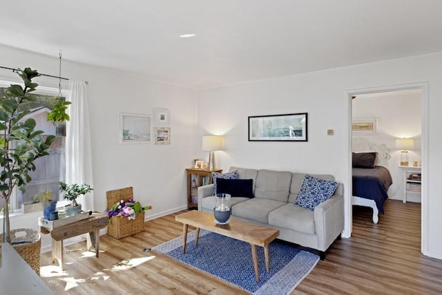 living room with light hardwood / wood-style flooring