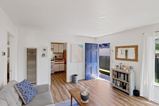 living room with light hardwood / wood-style floors