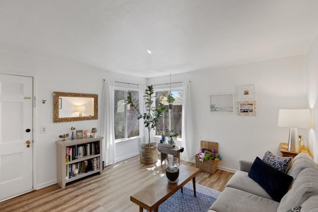 living room featuring light hardwood / wood-style flooring