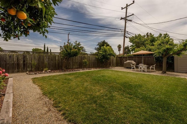 view of yard featuring a patio