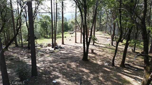 0 Tippy Top Rd, Cherokee CA, 95965 land for sale