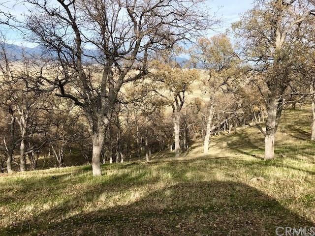 0 Mcauliffe Rd, Igo, CA 96022 - photo 15