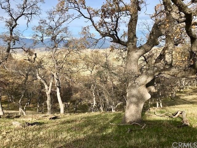 0 Mcauliffe Rd, Igo, CA 96022 - photo 14