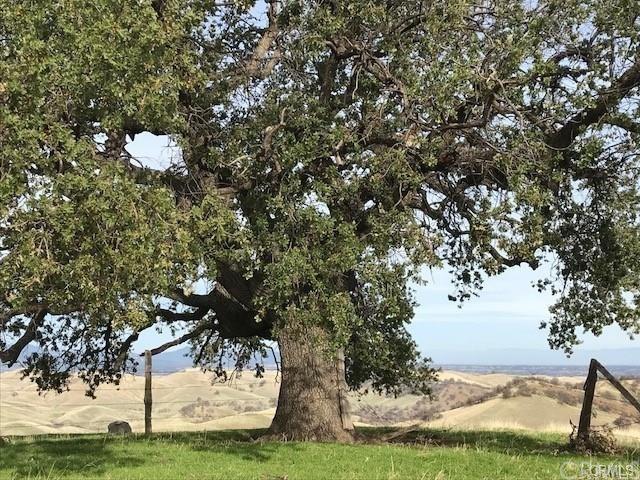 0 Mcauliffe Rd, Igo, CA 96022 - photo 7