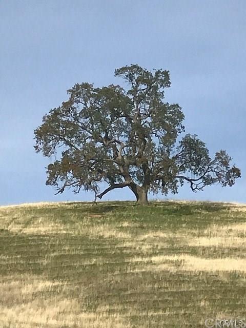 0 Mcauliffe Rd, Igo, CA 96022 - photo 28