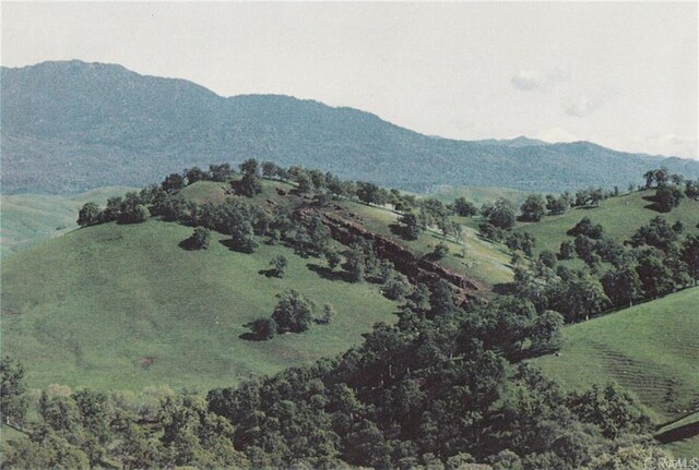 0 Mcauliffe Rd, Igo, CA 96022 - photo 12