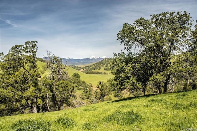 0 Mcauliffe Rd, Igo, CA 96022 - photo 31