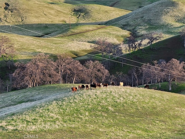 0 Mcauliffe Rd, Igo, CA 96022 - photo 44