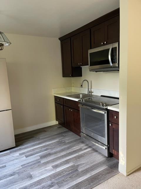 kitchen featuring stainless steel appliances, dark brown cabinetry, and light hardwood / wood-style floors