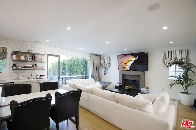 living room featuring light hardwood / wood-style floors