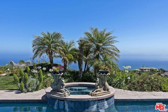 view of swimming pool with an in ground hot tub