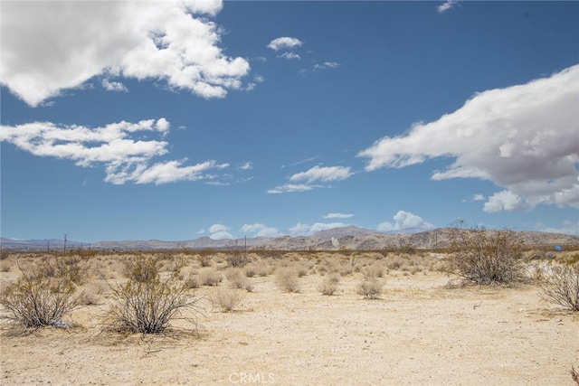 65100 Reagan Rd, Joshua Tree CA, 92252 land for sale