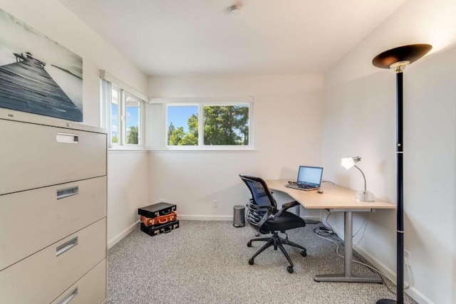 office featuring light carpet