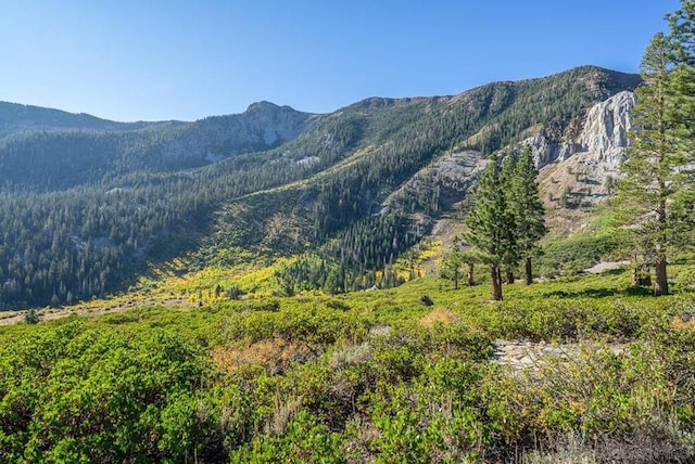 view of mountain feature