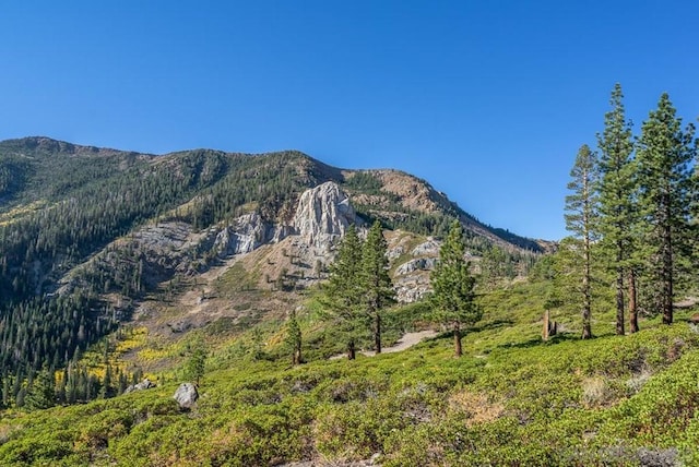 view of mountain feature