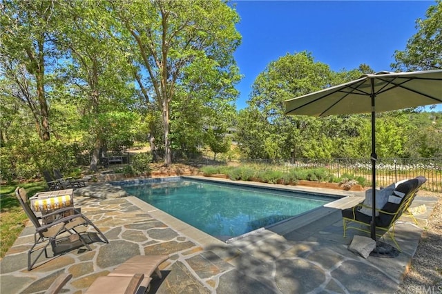 view of swimming pool with a patio area